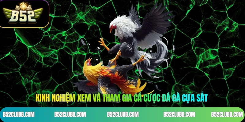 Kinh Nghiệm Xem Và Tham Gia Cá Cược Đá Gà Cựa Sắt